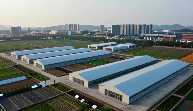 数字化发展下,电商选型需关注哪些核心关注点